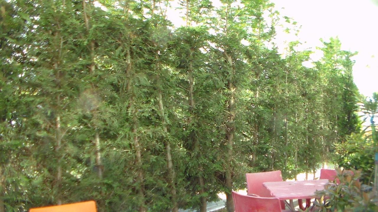 Shkoder Hotel Temali Dış mekan fotoğraf
